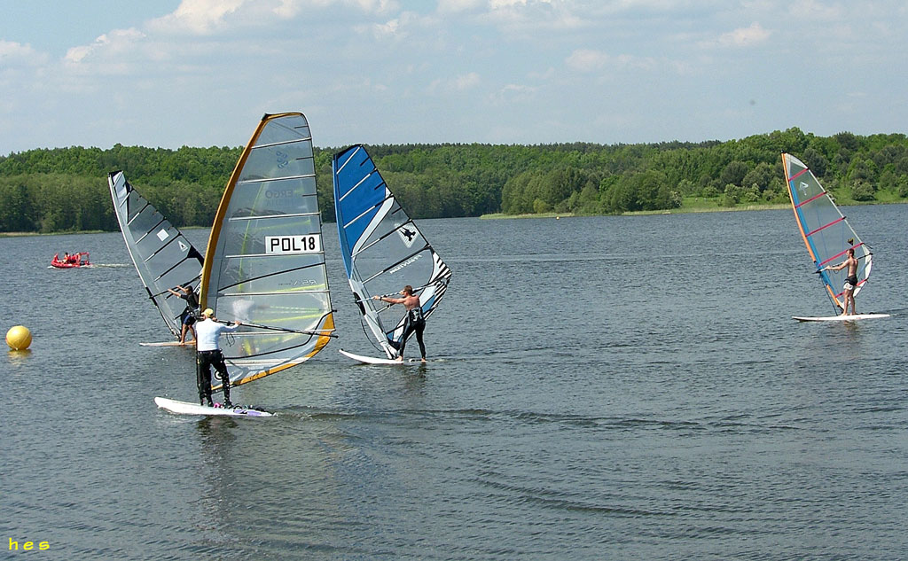 Regaty windsurfingowe