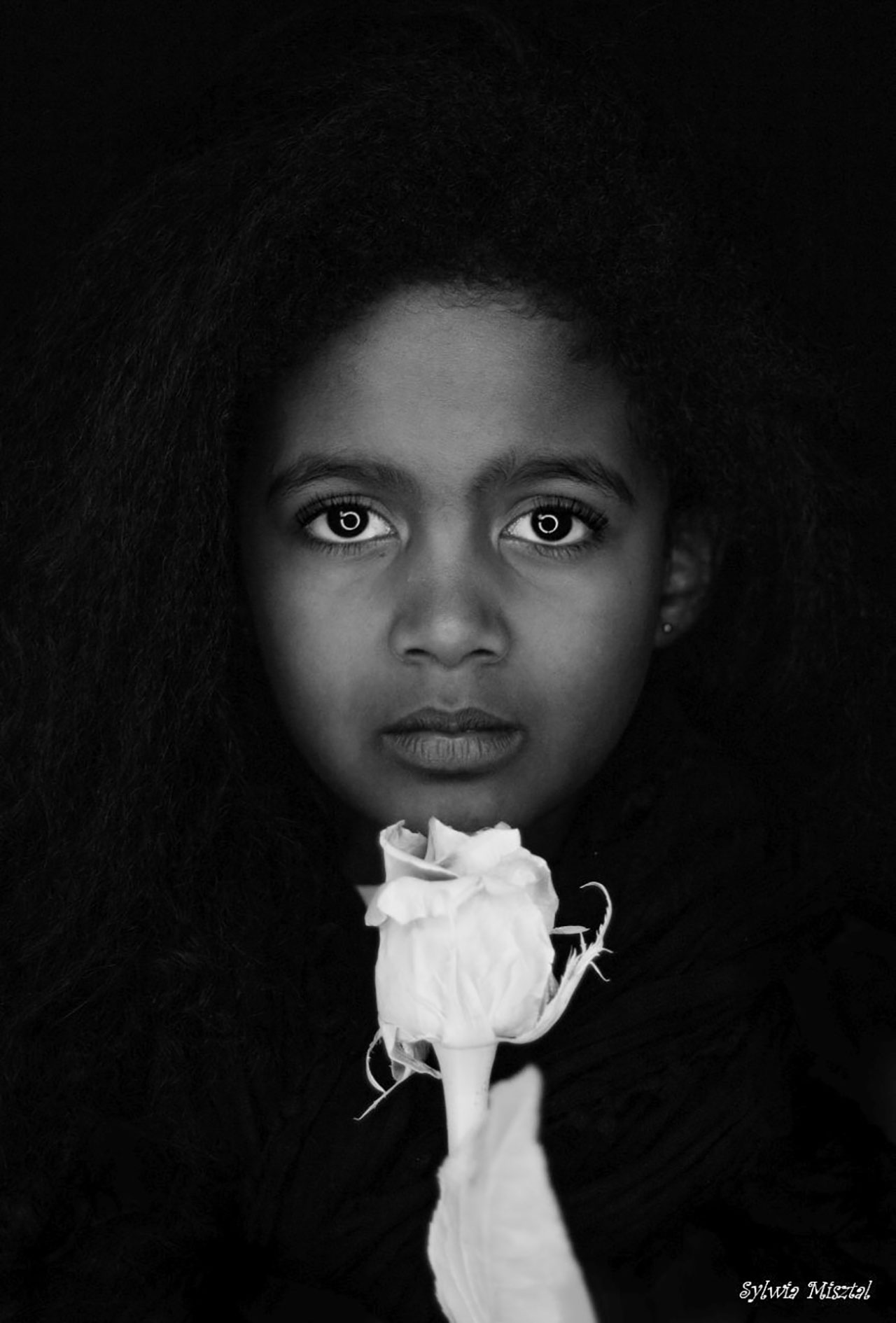 Wirtualna wystawa Klubu Foto "Perspektywa": Black & White