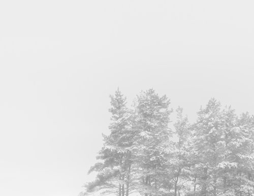 Zimowo i mgliście