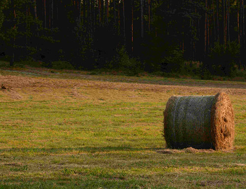 Foto wędrówki, cz. II