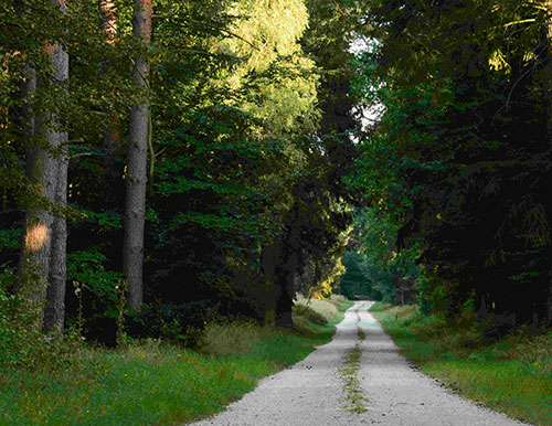 Foto wędrówki, cz. II